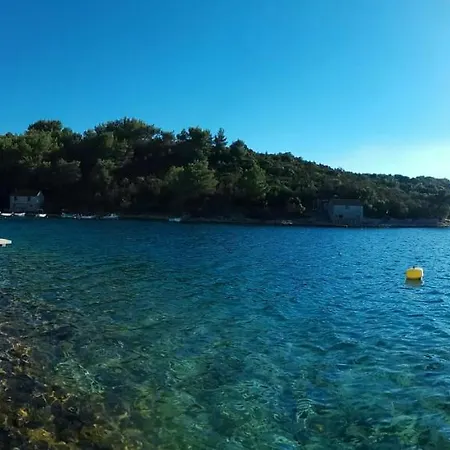 Apartmán Maslina Tree House Stari Grad (Hvar)