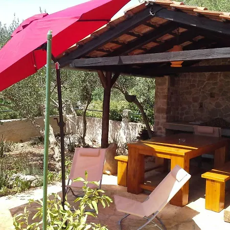 Maslina Tree House Apartmán